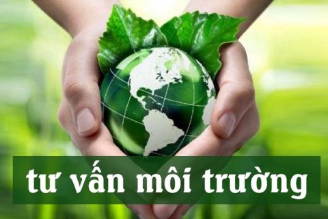 Tư vấn và Đào tạo Môi trường
